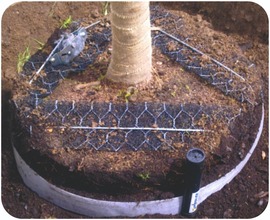Platipus Piddler Tree Irrigation System - 55cm∅