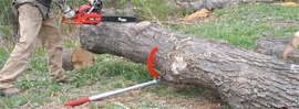 Woodchuck Dual Logging Tool