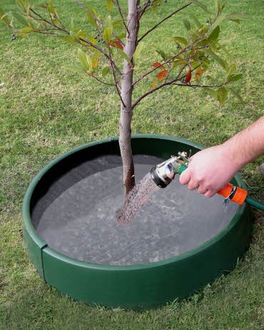 GreenWell Tree Water Saver - Large 50Ltr